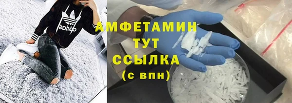 гашиш Богданович