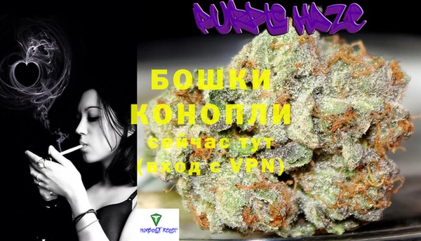 гашиш Богданович