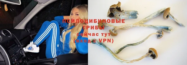 jwh Богородск