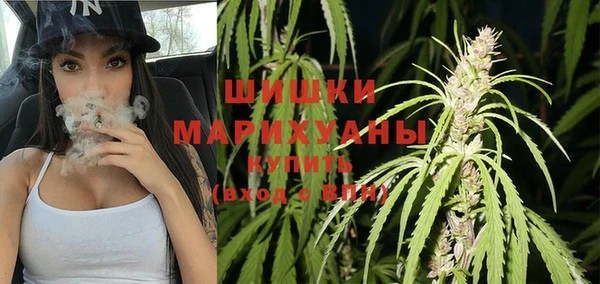 2c-b Богородицк